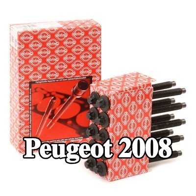 ELRING مجموعة البراغي, رأس الأسطوانة M11x1, 5x147 — Peugeot 2008