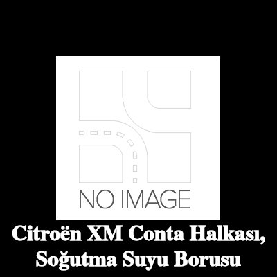 AUTOMEGA Conta halkası, soğutma suyu borusu — Citroën Xm