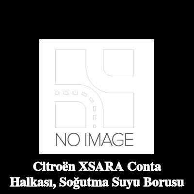 AUTOMEGA Conta halkası, soğutma suyu borusu — Citroën Xsara