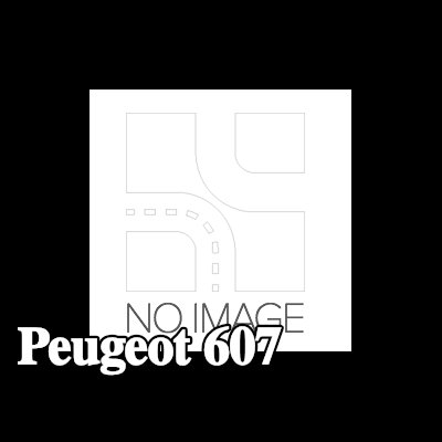 AUTOMEGA حلقة مانعة للتسرب، أنبوب سائل التبريد — Peugeot 607