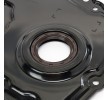 RIDEX Zamanlama kapağı — Ford Focus (4)