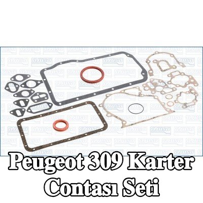 AJUSA Karter contası seti — 1990 Peugeot 309