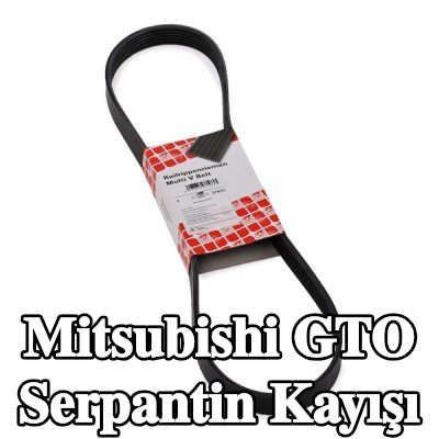 FEBI BILSTEIN Serpantin kayışı 1070mm, Number of ribs: 6 — Mitsubishi Gto
