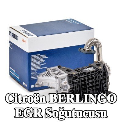 MAHLE EGR valfsiz EGR soğutucusu — Citroën Berlingo