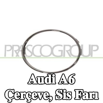 PRASCO Çerçeve, sis farı — Audi A6