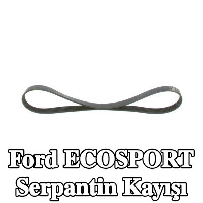 BOSCH Serpantin kayışı 1033mm, Number of ribs: 6 — 2012 Ford Ecosport