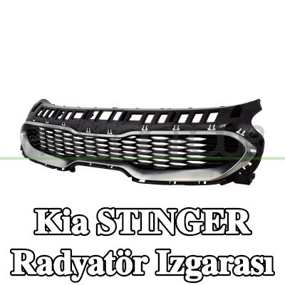 PRASCO Radyatör ızgarası, siyah, gümüş — Kia Stinger