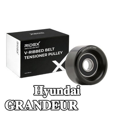 RIDEX بكرة الموتر القطر الخارجي: 65mm — 2012 Hyundai Grandeur