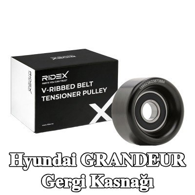 RIDEX Gergi kasnağı Dış Çap: 65mm — 2012 Hyundai Grandeur