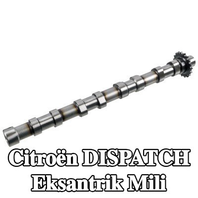 FEBI BILSTEIN Eksantrik Mili Emme Tarafı — 2024 Citroën Dispatch