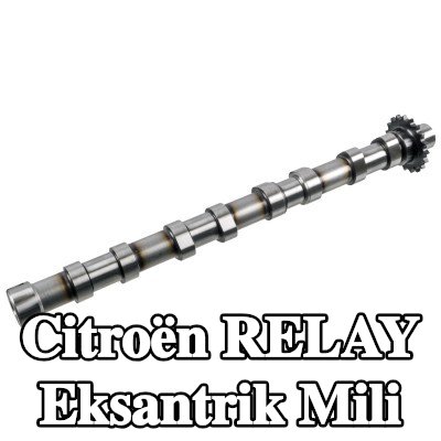 FEBI BILSTEIN Eksantrik Mili Emme Tarafı — 2016 Citroën Relay