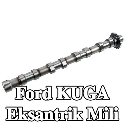 FEBI BILSTEIN Eksantrik Mili Emme Tarafı — Ford Kuga