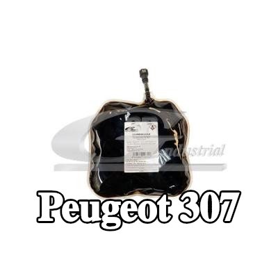 3RG طقم التحديث، فلتر السخام — Peugeot 307