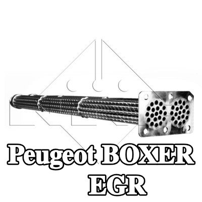 NRF مبرد EGR مع أجزاء التثبيت — 2000 Peugeot Boxer