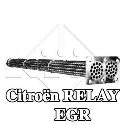 NRF مبرد EGR مع أجزاء التثبيت — 2002 Citroën Relay