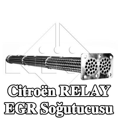 NRF Montaj parçaları dahil EGR soğutucu — 2002 Citroën Relay