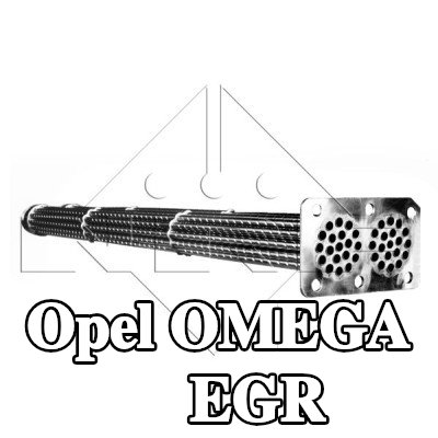 NRF مبرد EGR مع أجزاء التثبيت — Opel Omega