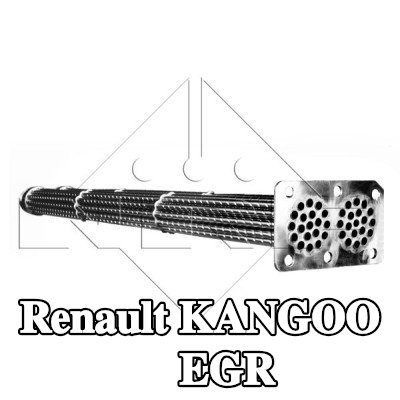 NRF مبرد EGR مع أجزاء التثبيت — Renault Kangoo