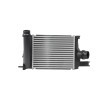 HELLA Intercooler — Renault Duster (3)