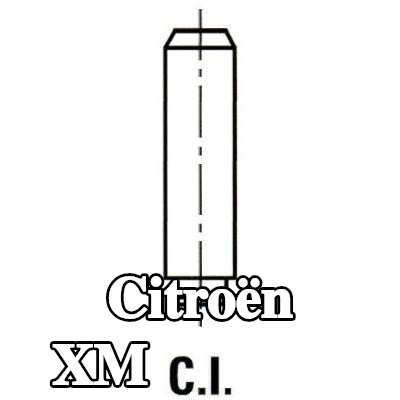 IPSA أدلة الصمامات — Citroën Xm