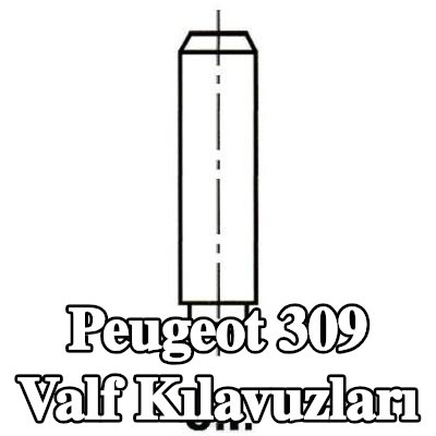 IPSA Valf Kılavuzları — Peugeot 309