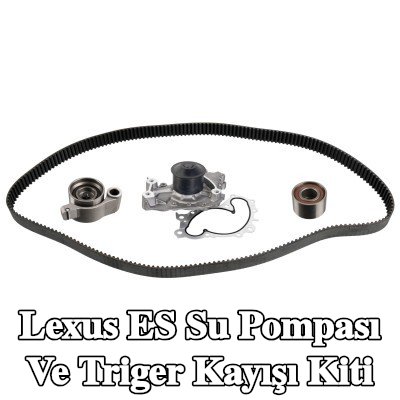 FEBI BILSTEIN Su pompası ve triger kayışı kiti Diş Sayısı: 211, Width: 32mm, su pompalı — Lexus Es