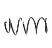 SACHS Helezon yay — 2012 BMW 3 Series (3)