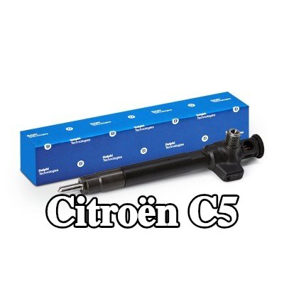DELPHI مجموعة الفوهة والحامل — Citroën C5