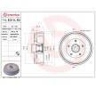 BREMBO Fren kampanas 228, 6mm, tekerlek yatağı kiti ile — 2012 Renault Duster (2)