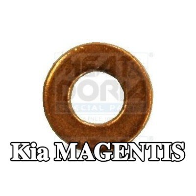 MEAT & DORIA حلقة مانعة للتسرب، عمود الحاقن — Kia Magentis