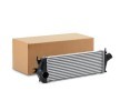 RIDEX Intercooler — 2012 Renault Trafic (1)