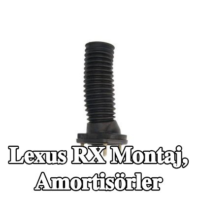 Magnum Technology Montaj, amortisörler Arka Aks Sağ — 2004 Lexus Rx