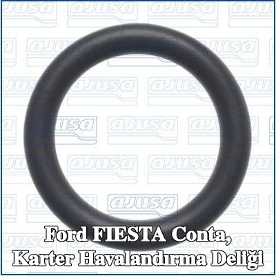 AJUSA Conta, karter havalandırma deliği — Ford Fiesta
