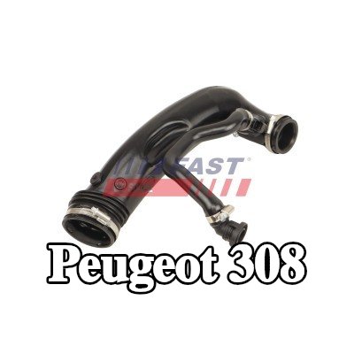 FAST مشعب السحب، إمداد الهواء — Peugeot 308