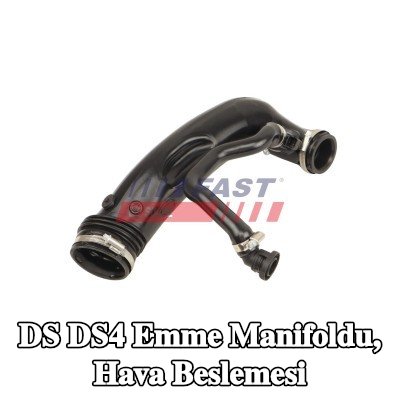 FAST Emme manifoldu, hava beslemesi — DS Ds4