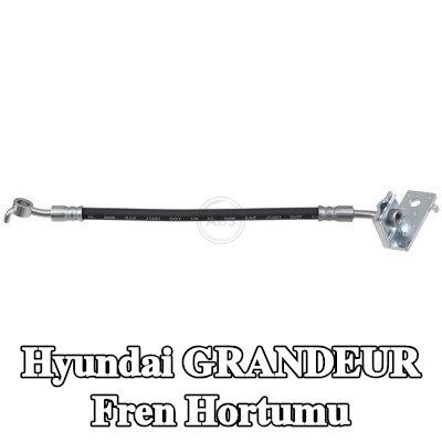 A.B.S. Fren hortumu 246mm — Hyundai Grandeur