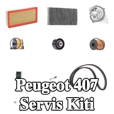 RIDEX Servis kiti — Peugeot 407
