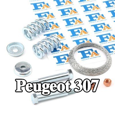 FA1 مجموعة حشيات، نظام العادم — Peugeot 307