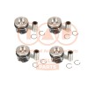 IAP QUALITY PARTS Piston Seti — Land Rover Discovery (1)