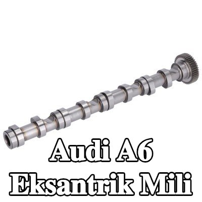 FEBI BILSTEIN Eksantrik Mili Emme Tarafı — Audi A6