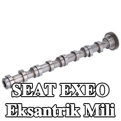 FEBI BILSTEIN Eksantrik Mili Emme Tarafı — SEAT Exeo