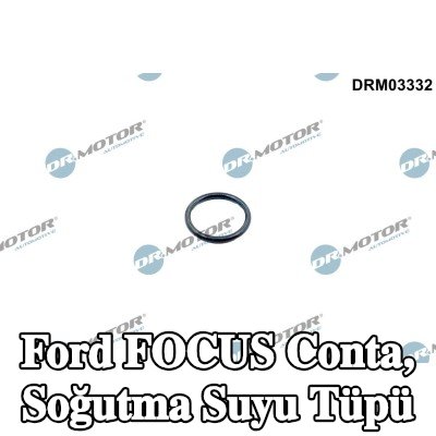 DR.MOTOR AUTOMOTIVE Conta, soğutma suyu tüpü — 2016 Ford Focus