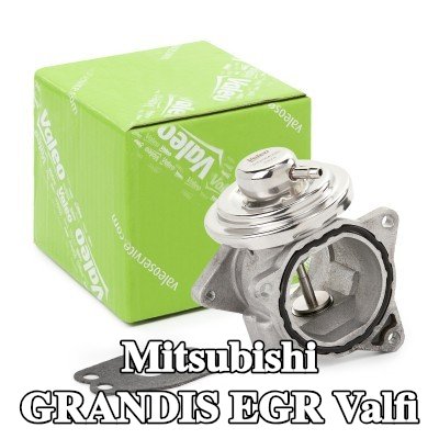 VALEO Contalı/sızdırmazlık elemanlı EGR valfi — Mitsubishi Grandis