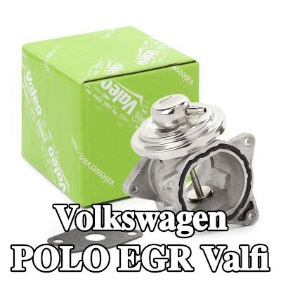 VALEO Contalı/sızdırmazlık elemanlı EGR valfi — 2008 Volkswagen Polo