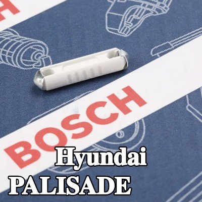 BOSCH صمام أمان — Hyundai Palisade