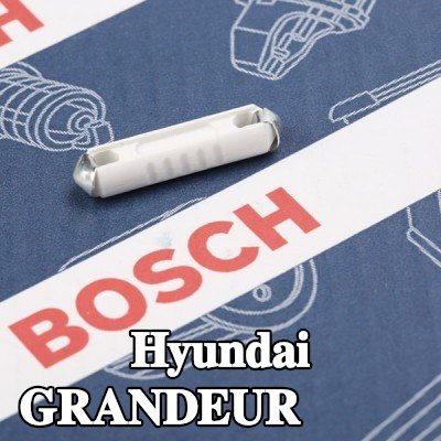 BOSCH صمام أمان — Hyundai Grandeur