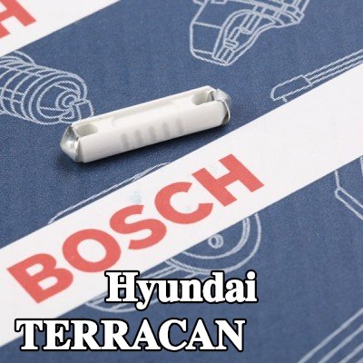 BOSCH صمام أمان — Hyundai Terracan