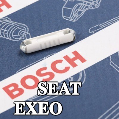 BOSCH صمام أمان — SEAT Exeo