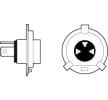 VALEO Uzun far ampulü ESSENTIAL, H4, 60/55W, 12V — Honda Stream (7)