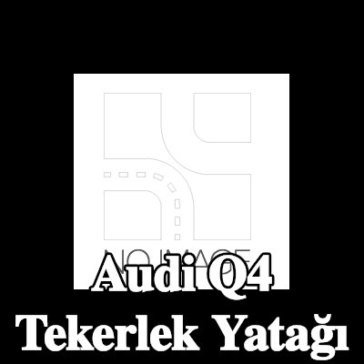 SNR Entegre manyetik sensör halkalı tekerlek yatağı — Audi Q4